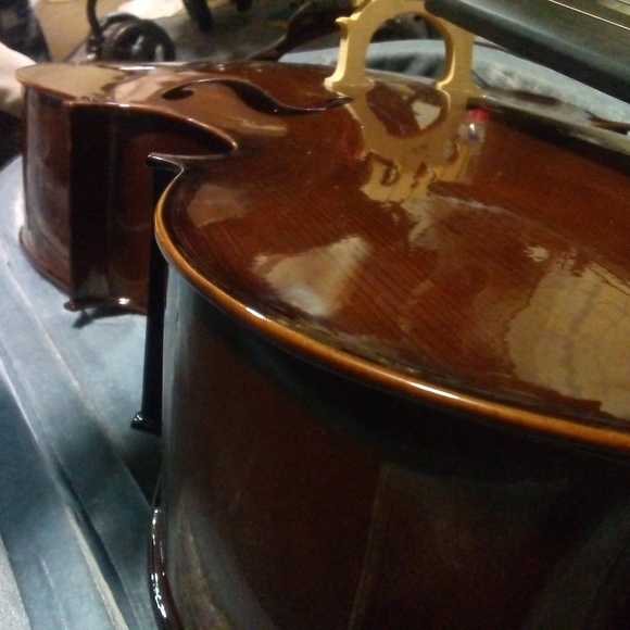 "student"Chello (Cremona) - Picture 7 of 8